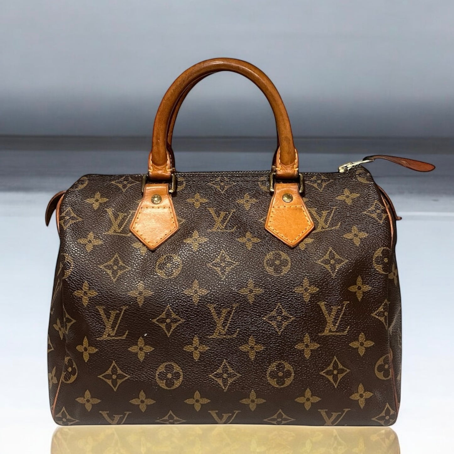 LOUIS VUITTON Speedy 25