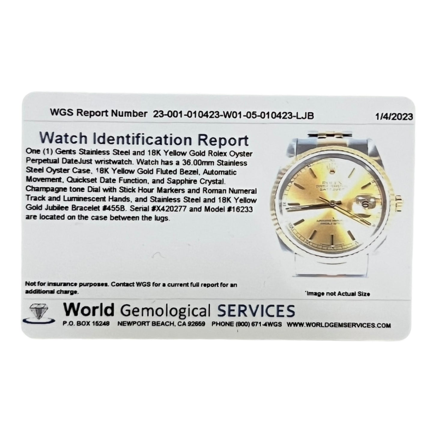 ROLEX Gents Oyster Perpetual DateJust Watch | 36mm
