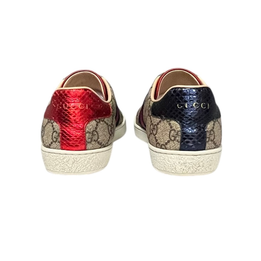 GUCCI GG Web Ace Sneakers | Size 37