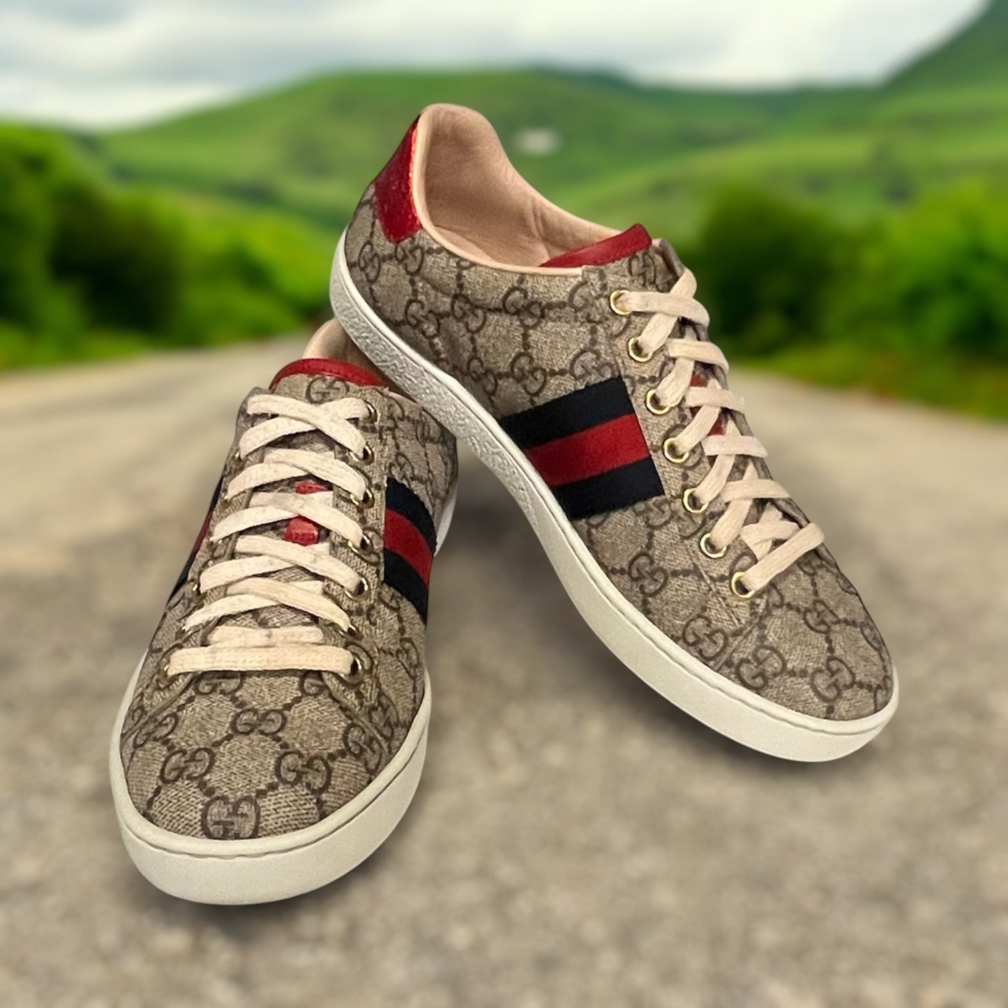 GUCCI GG Web Ace Sneakers | Size 37