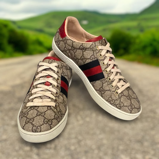 GUCCI GG Web Ace Sneakers | Size 37