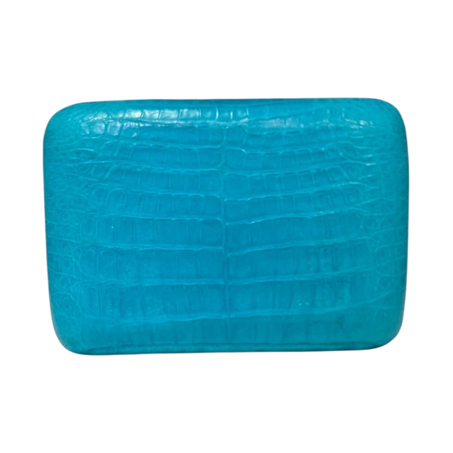 NANCY GONZALEZ Crocodile Minaudiere in Turquoise