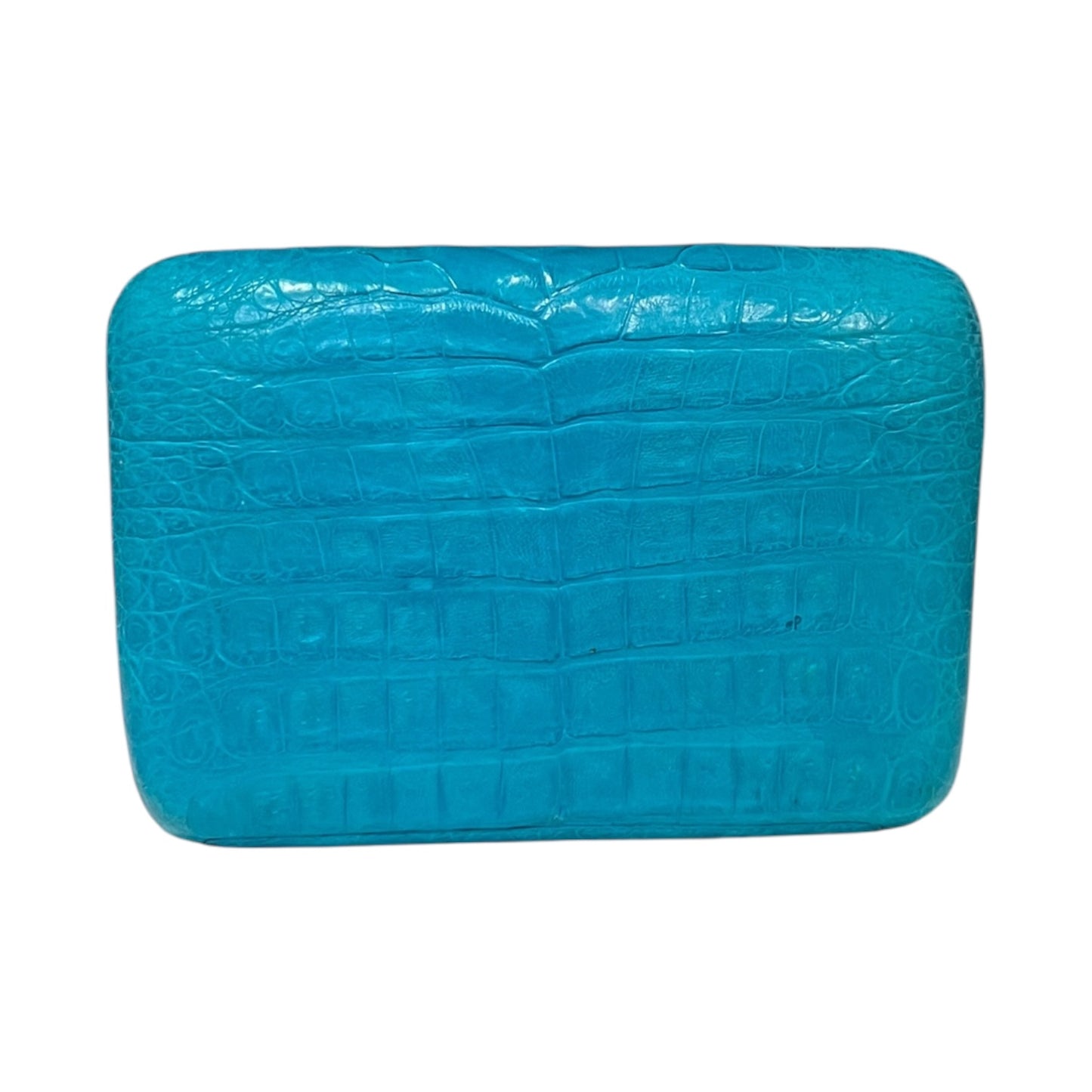 NANCY GONZALEZ Crocodile Minaudiere in Turquoise