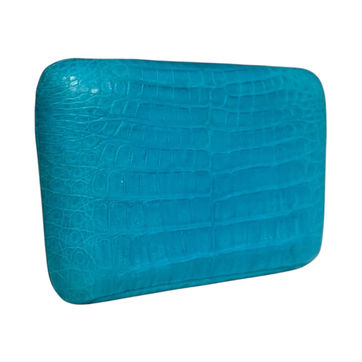 NANCY GONZALEZ Crocodile Minaudiere in Turquoise