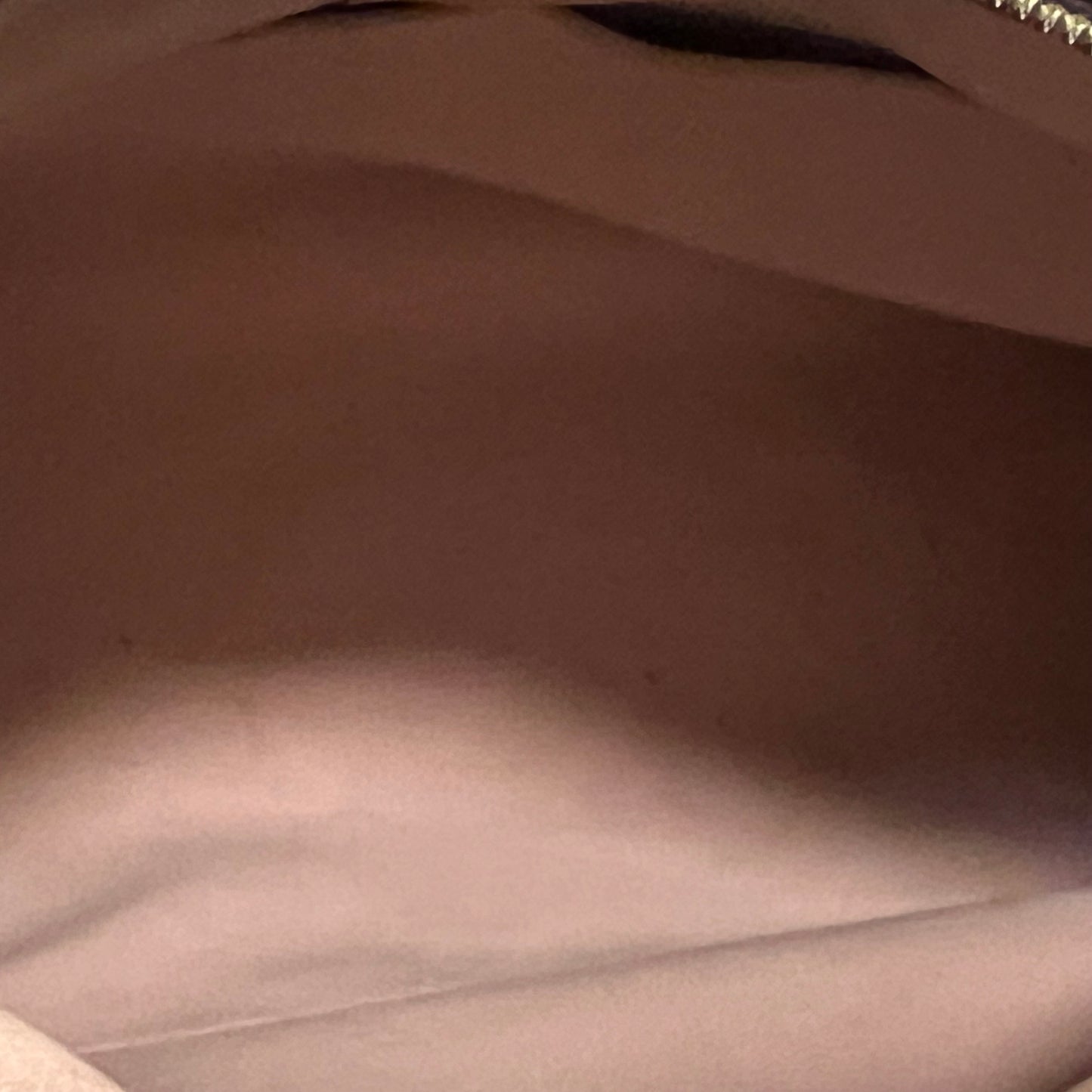 LOUIS VUITTON Pallas Tote in Rose Ballerine