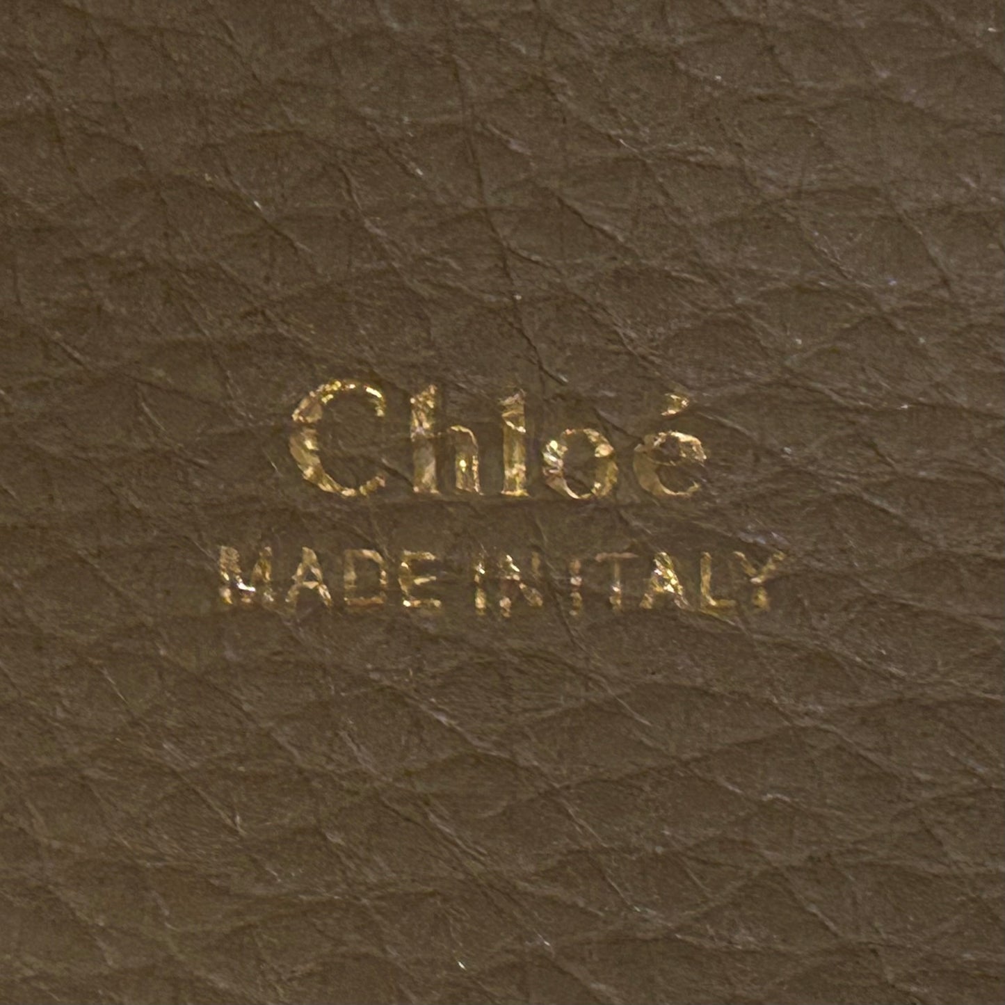 CHLOE Aby Day Bag in Taupe | Large