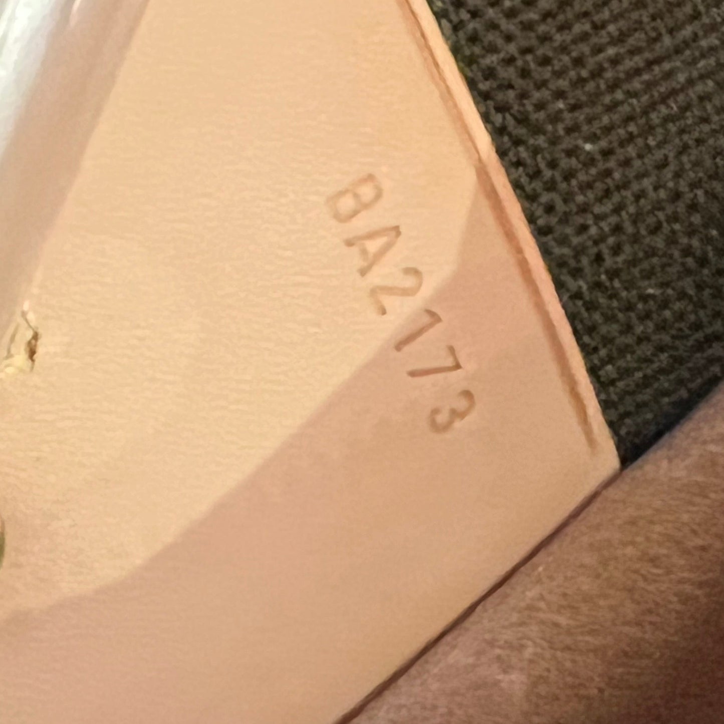 LOUIS VUITTON Monogram Garment Cover