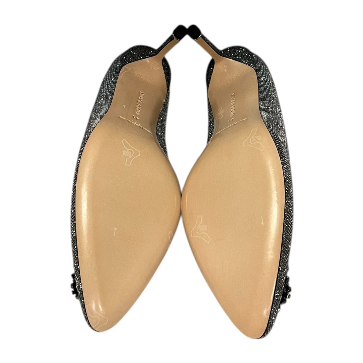 MANOLO BLAHNIK Crystal Shimmer Hangisi Pump | 41