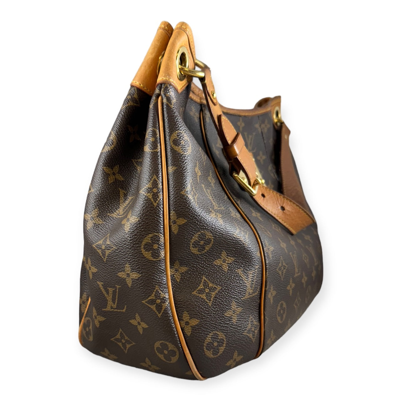 LOUIS VUITTON Galliera PM Monogram