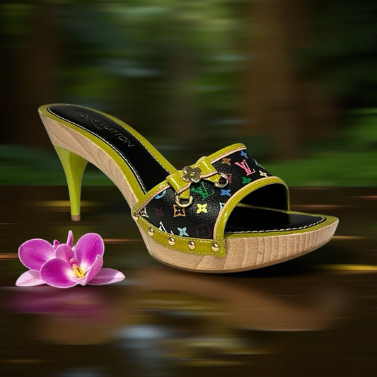 LOUIS VUITTON LV X Murakami Mules | 40