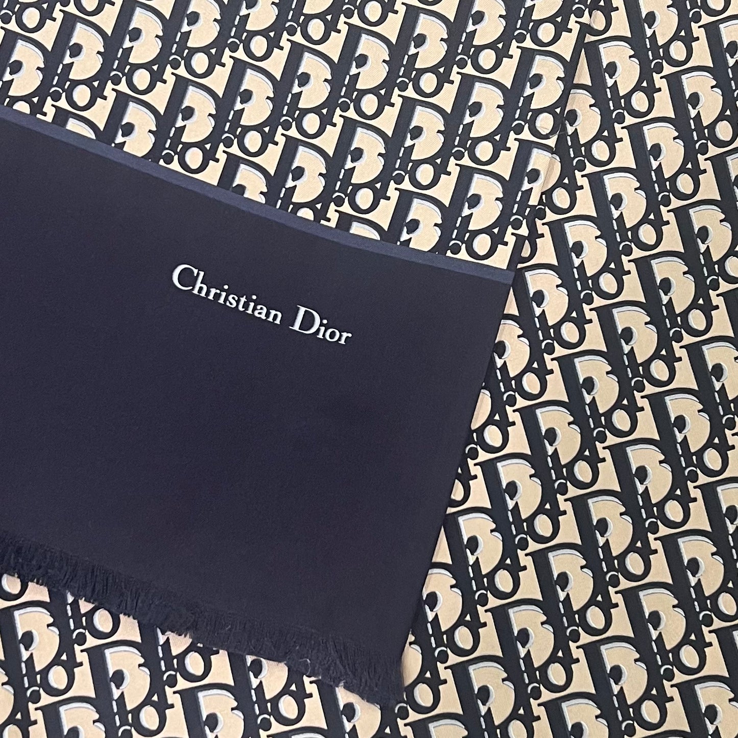 CHRISTIAN DIOR Oblique Scarf Stole