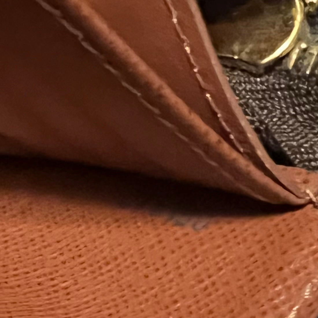 LOUIS VUITTON Astrid Wallet Wristlet