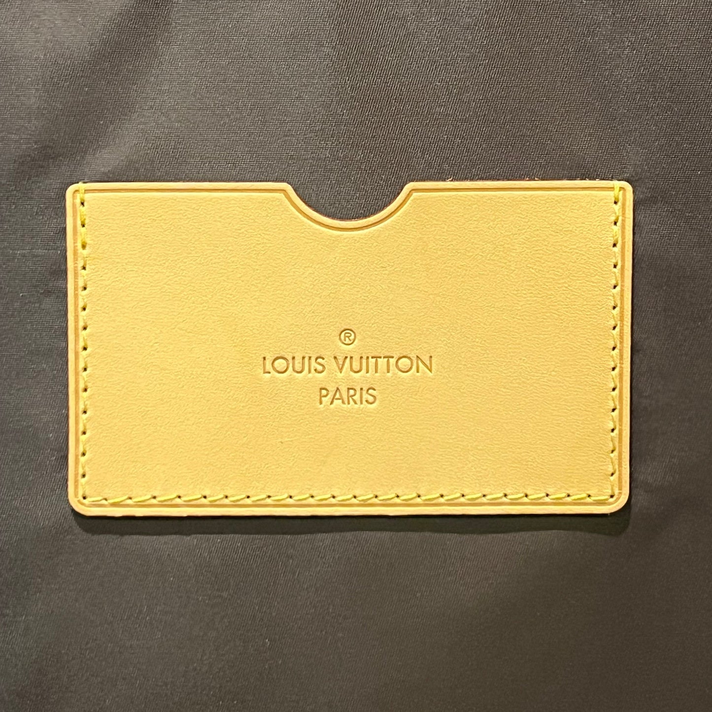 LOUIS VUITTON Monogram Pegase 55