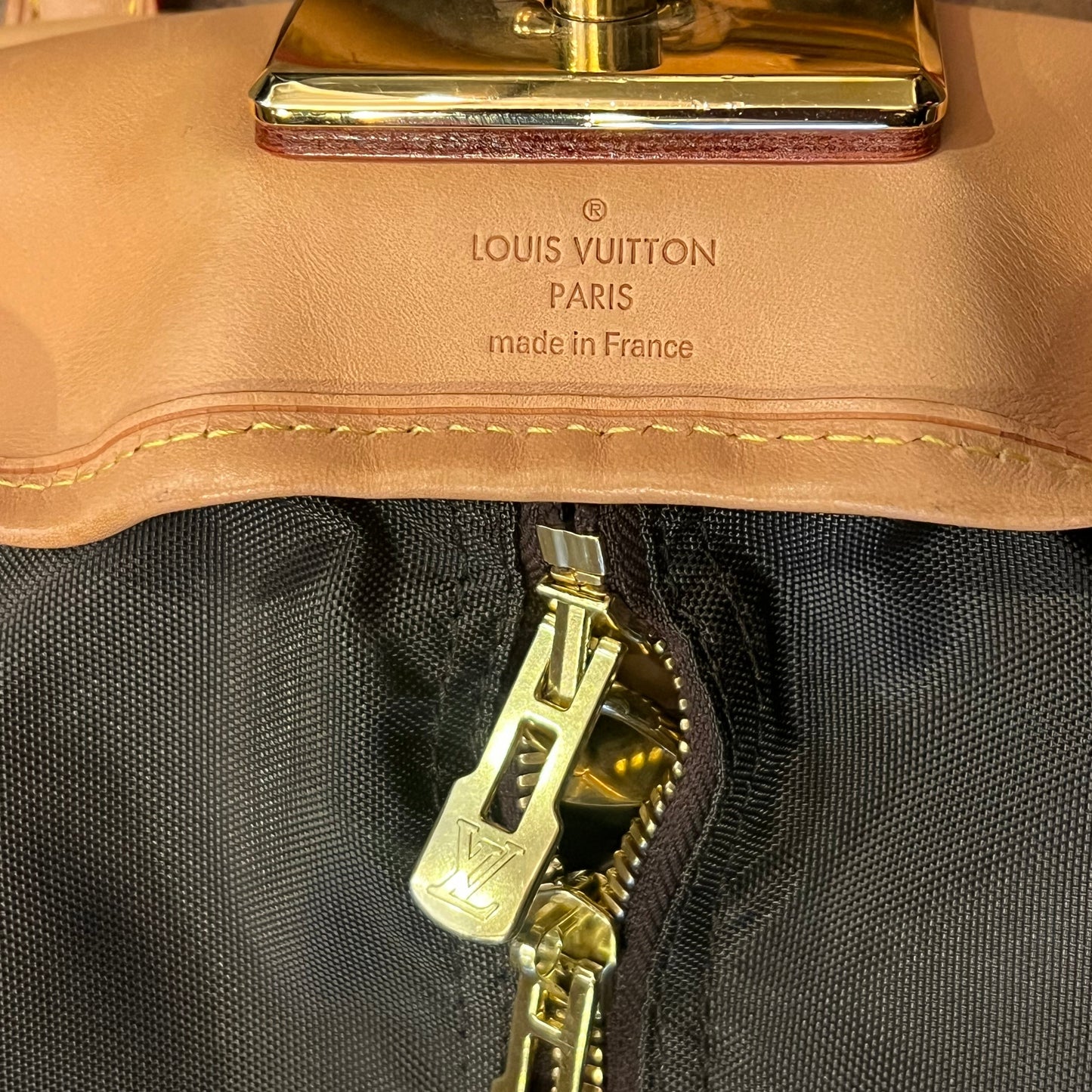 LOUIS VUITTON Monogram Garment Cover