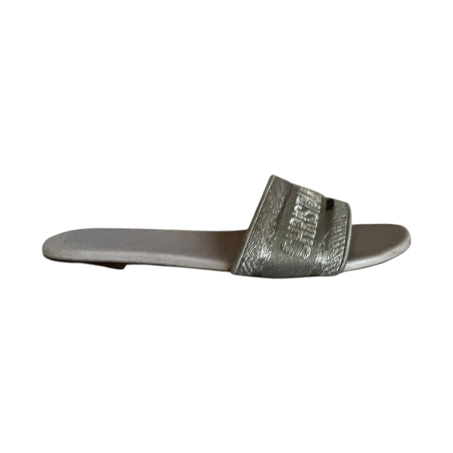 DIOR Dway Slides in Gray | 40