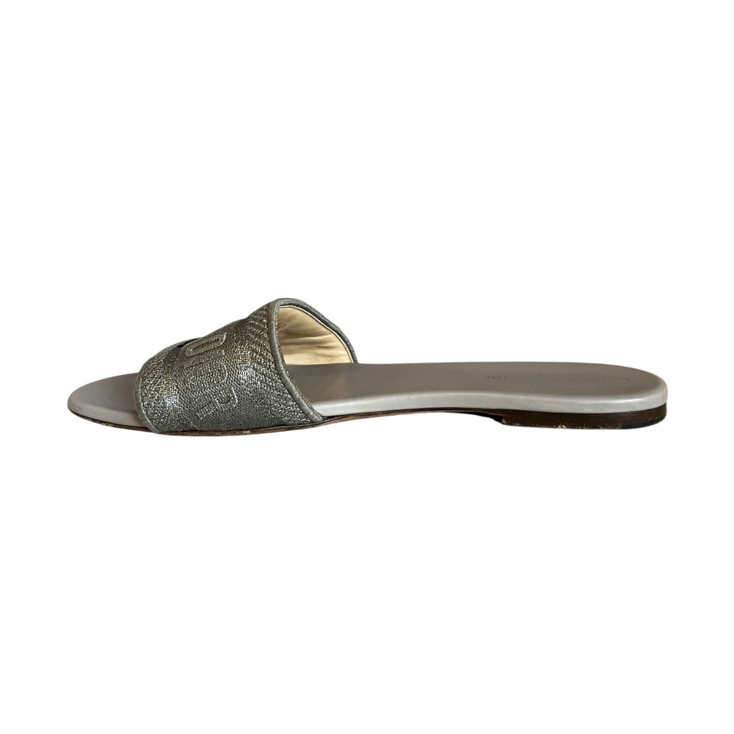 DIOR Dway Slides in Gray | 40