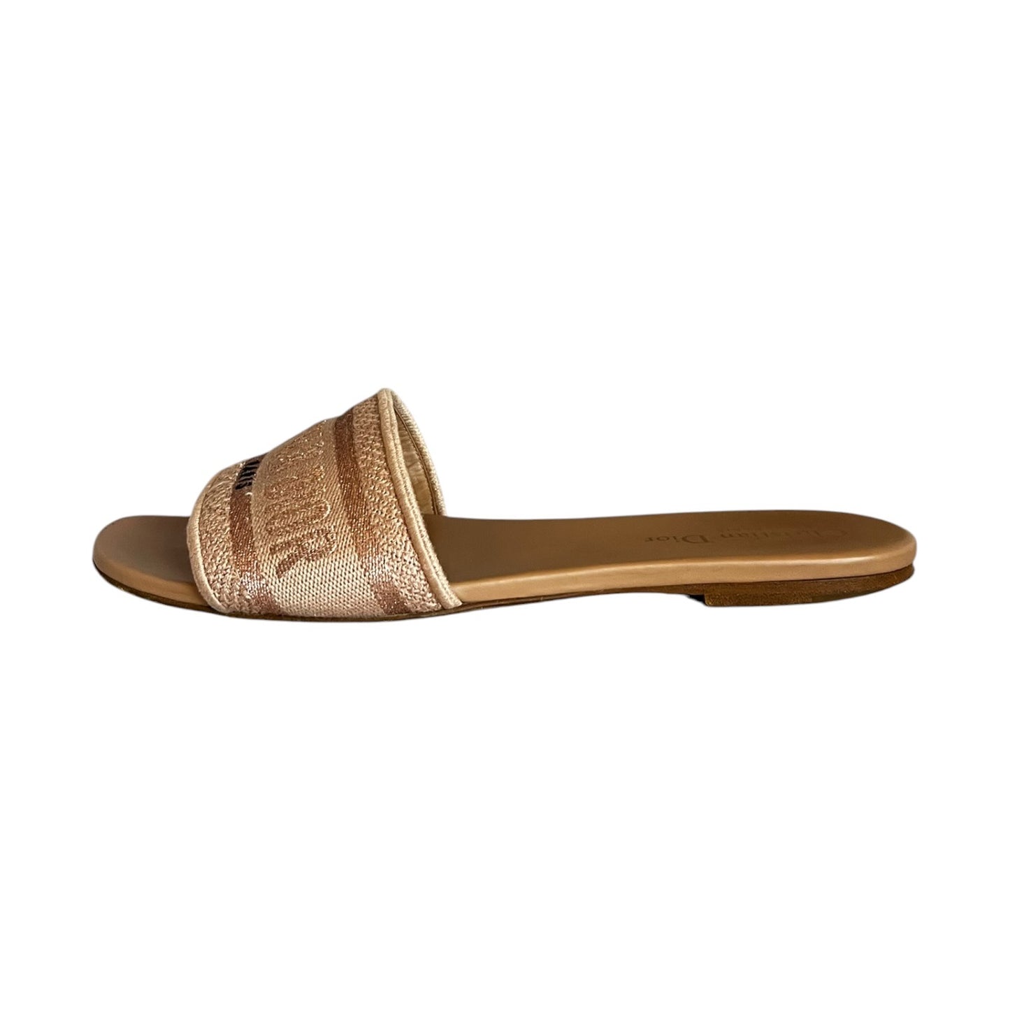 DIOR Dway Slides in Blush | 40