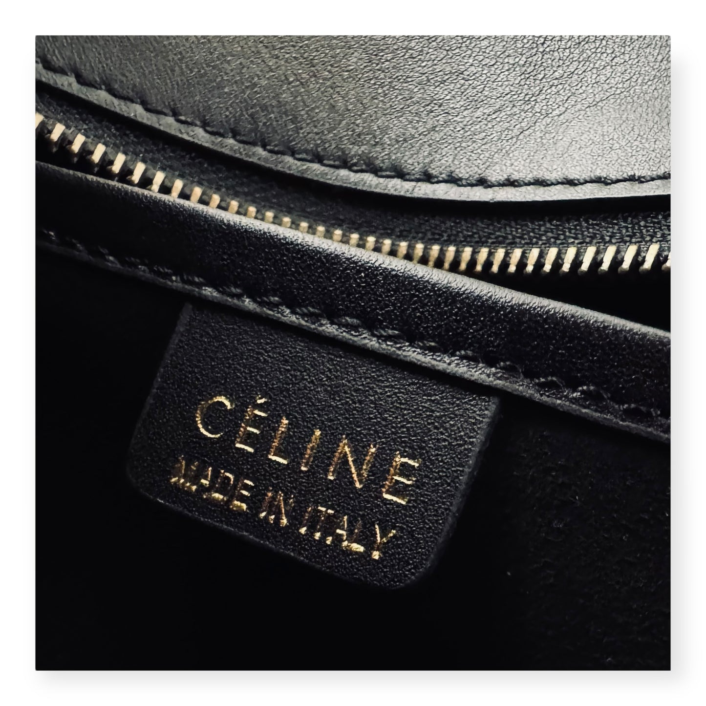 CELINE Nano Luggage Python Bag in Black Ivory