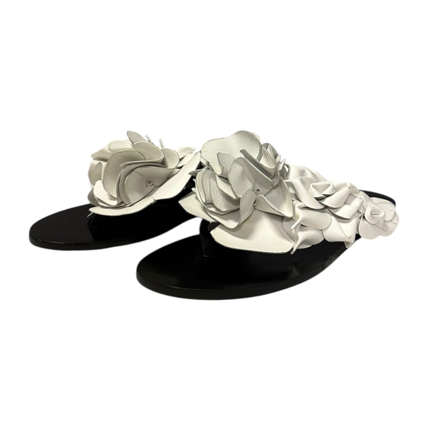 SOPHIA WEBSTER Floral Sandal in White | 37.5