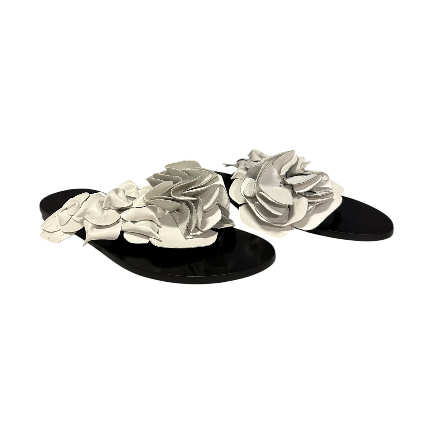 SOPHIA WEBSTER Floral Sandal in White | 37.5