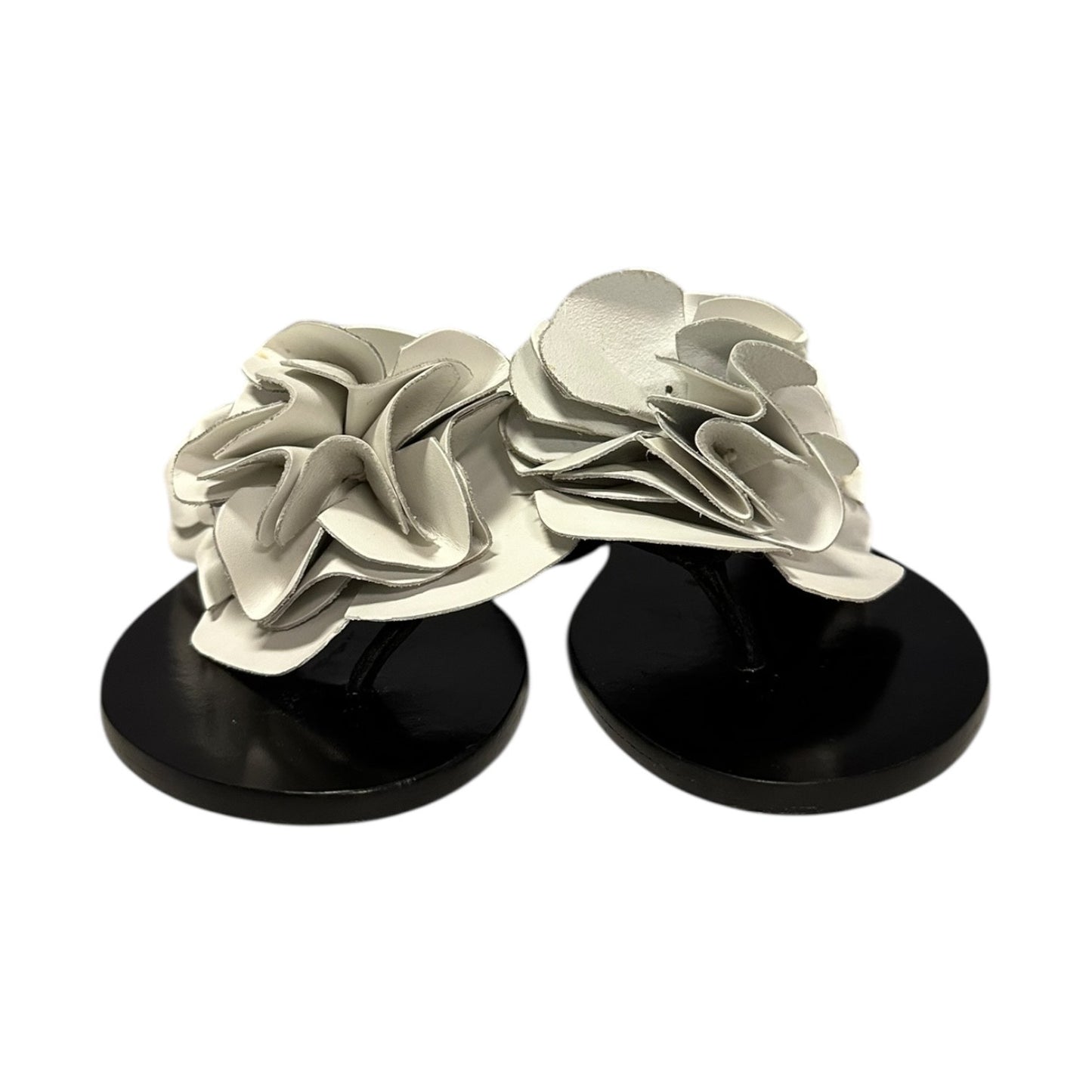SOPHIA WEBSTER Floral Sandal in White | 37.5