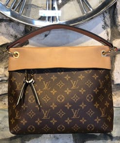 Purchase Result  Louis Vuitton Monogram TUILERIES BESACE