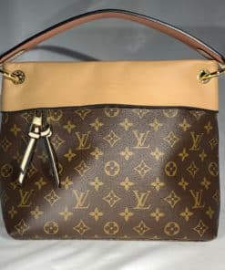 Louis Vuitton Monogram Canvas Tuileries Besace Shoulder Bag (SHF-22119 –  LuxeDH