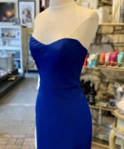 ROMONA KAVEZA Strapless Evening Gown in Cobalt Blue 2