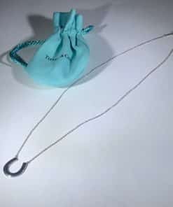 Tiffany Co. Horseshoe Pendant Necklace 2