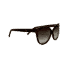 CHLOE C620S Cat Sunglasses in Brown