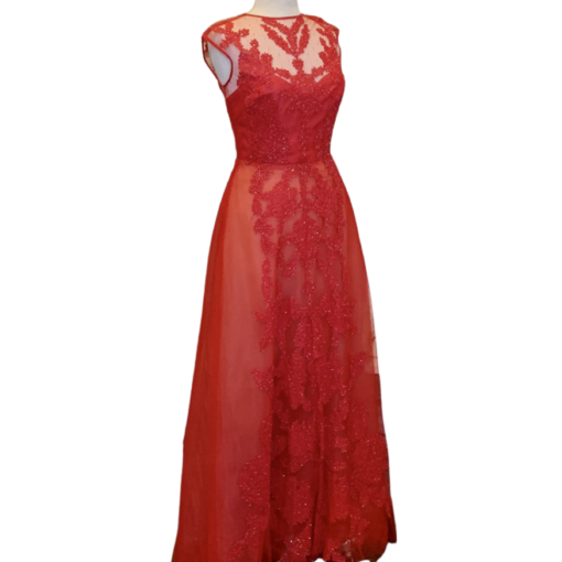 MONIQUE LHUILLIER Lace Tulle Gown in Red (10) 6