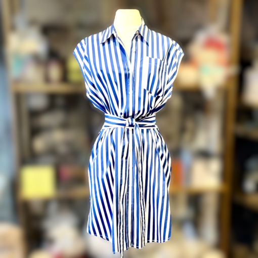 Derek Lam Stripe Dress in Blue and White 1