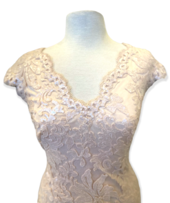 TADASHI Sequin Lace Gown in Blush 10