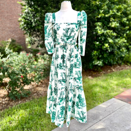 CARA CARA Toile Dress in Green and White 1