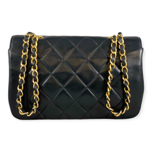 CHANEL Quilted Diana Bag in Black 6
