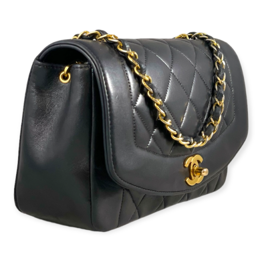 CHANEL Quilted Diana Bag in Black 5