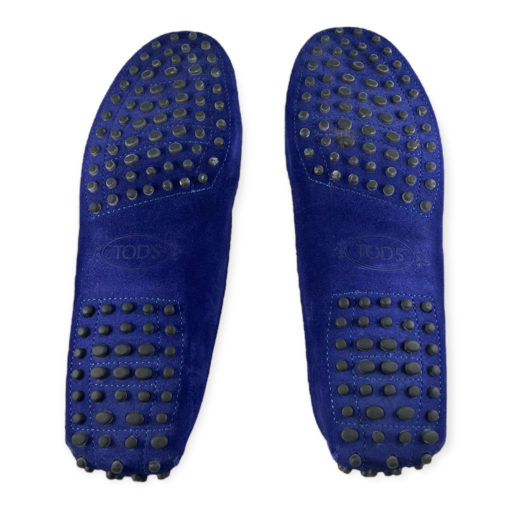 Tods Gommino Driving Shoes in Cobalt 5