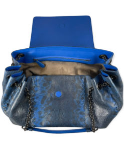 Bottega Veneta Python Accordion Flap Bag in Blue 16