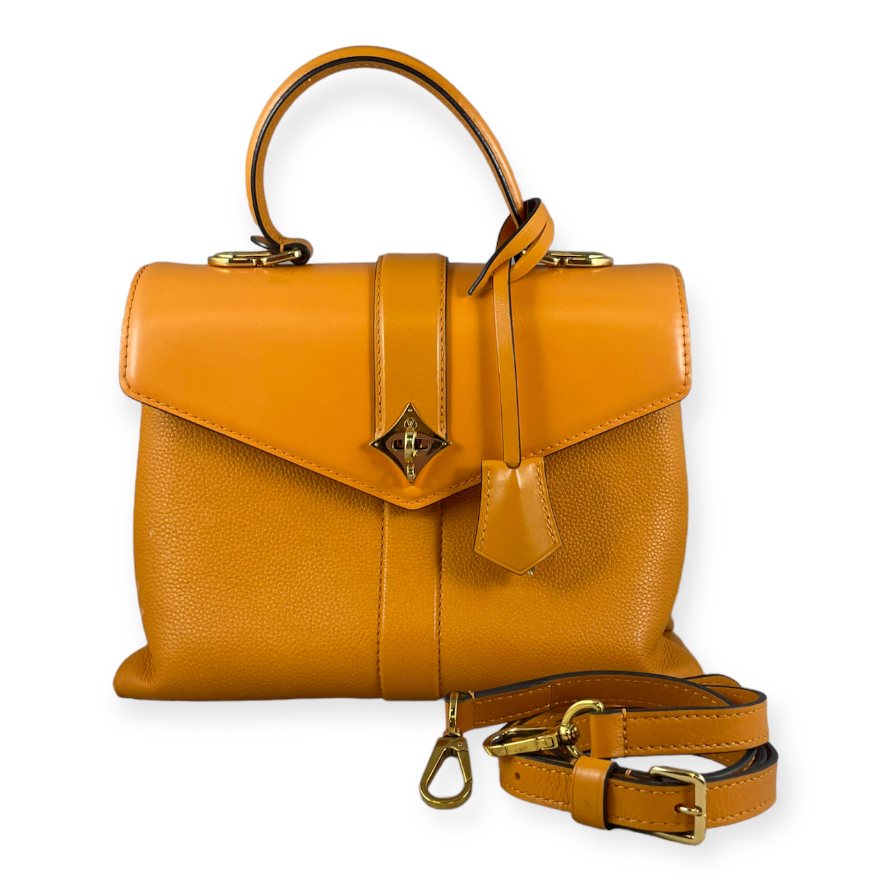 Louis Vuitton Rose Des Vents  Classic bags, Bags, Louis vuitton