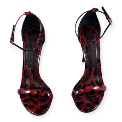 Dolce & Gabbana Patent Leopard Print Sandals in Red 36 5