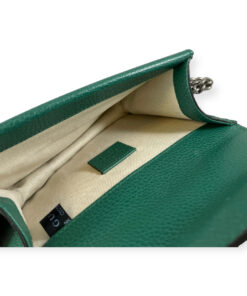 Gucci Dionysus Mini Chain Bag in Green 21