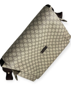 Gucci GG Plus Bag in Brown 16