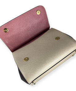 Dolce & Gabbana Miss Sicily Medium Tricolor Handbag 22
